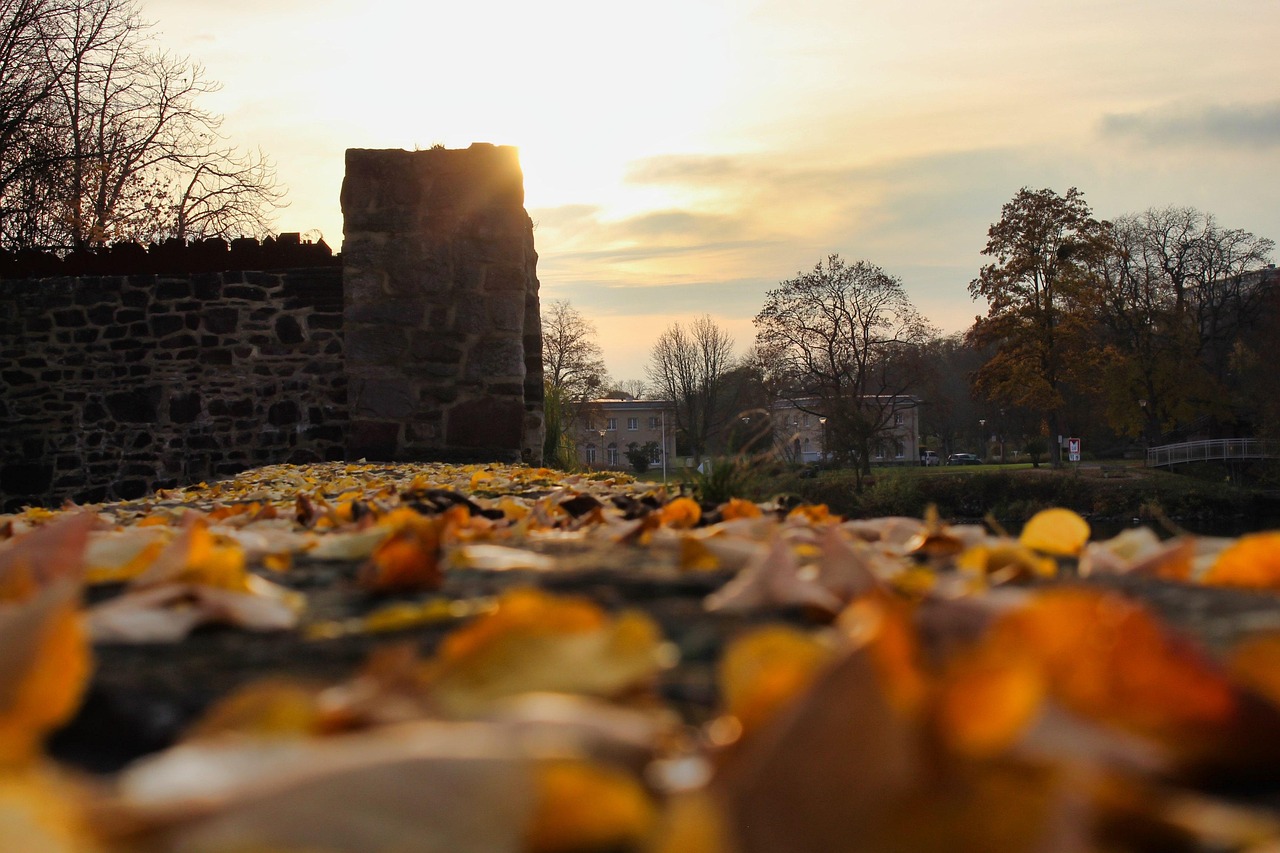 Bild von <a href="https://pixabay.com/de/users/sevensamuel-9408172/?utm_source=link-attribution&utm_medium=referral&utm_campaign=image&utm_content=4458225">SevenSamuel</a> auf <a href="https://pixabay.com/de//?utm_source=link-attribution&utm_medium=referral&utm_campaign=image&utm_content=4458225">Pixabay</a>